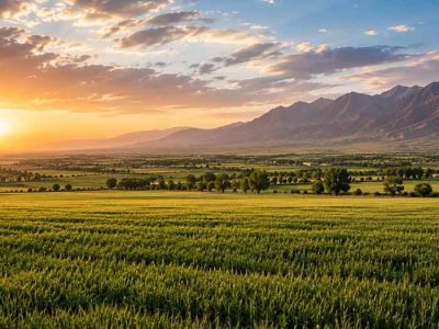 دشت های زیبای ورامین هوای گرم هواشناسی قرچک پیشوا پاکدشت